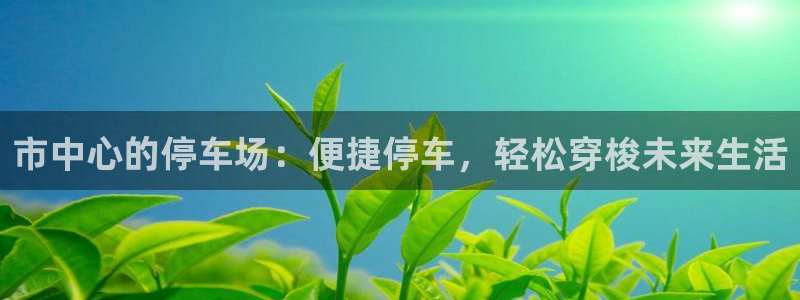 果博公司开户热线：市中心的停车场：便捷停