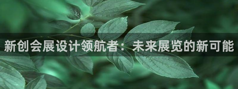 果博公司开户注册：新创会展设计领航者：未