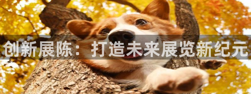 果博园简介：创新展陈：打造未来展览新纪元