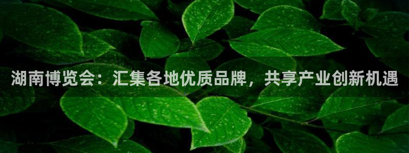 果博官网首页：湖南博览会：汇集各地优质品