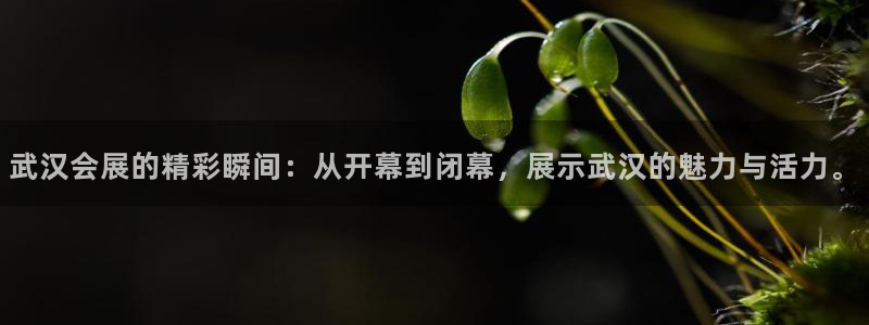 果博注册客服电话是多少：武汉会展的精彩瞬