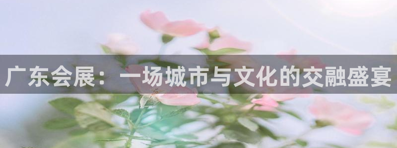 果博公司会员注册账号开户：广东会展：一场