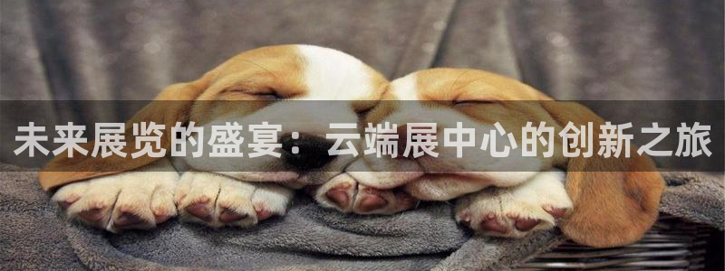 果博电话：未来展览的盛宴：云端展中心的创