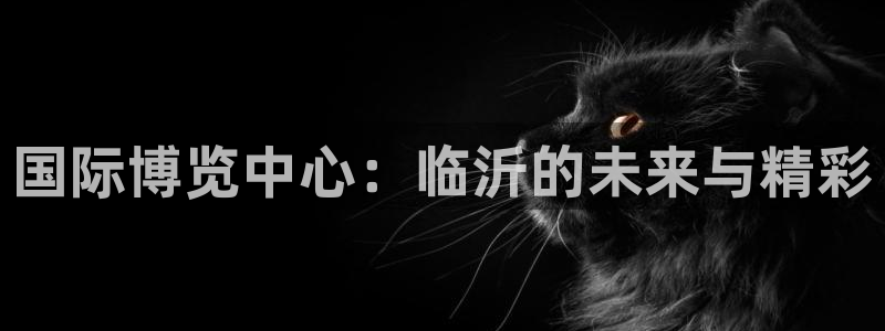 果博公司联系电话：国际博览中心：临沂的未