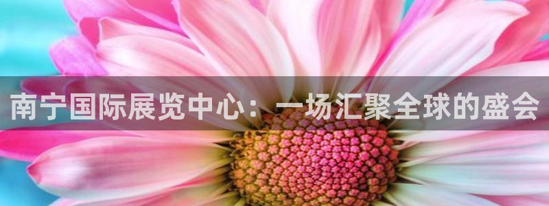 果博平台苹果电脑怎么下载：南宁国际展览中心：一场汇聚全球的盛会