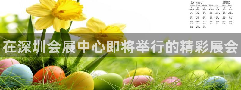 果博平台苹果电脑怎么下载：在深圳会展中心即将举行的