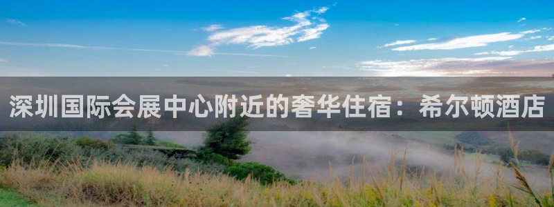 苹果电脑怎么下载伯索：深圳国际会展中心附近的奢华住宿：希尔顿酒店