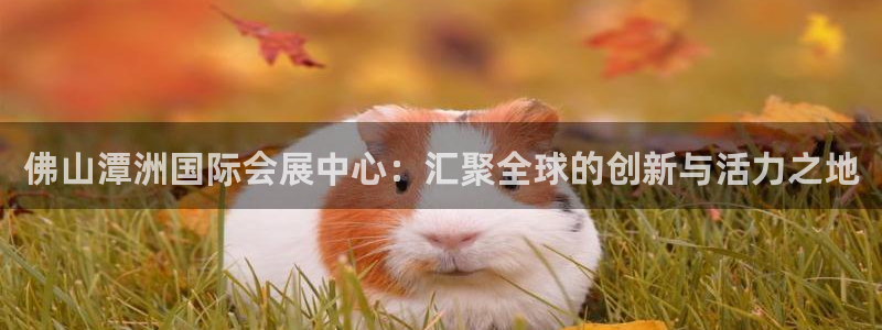 果博有假吗：佛山潭洲国际会展中心：汇聚全球的创新与活力之地