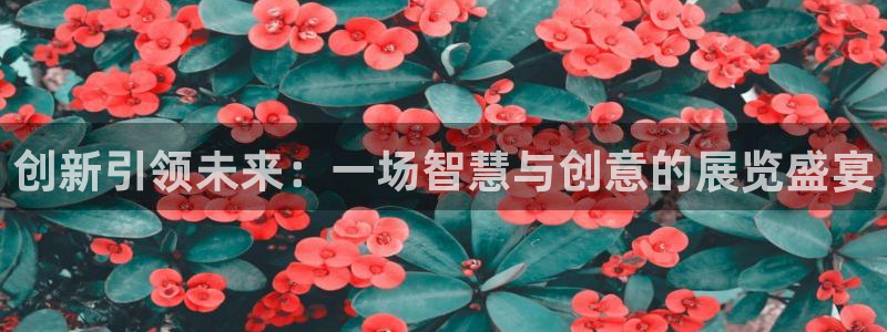 果博官网首页：创新引领未来：一场智慧与创意的展览盛